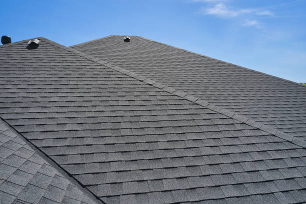 Best Roof Moss and Algae Removal  in Genoa, OH